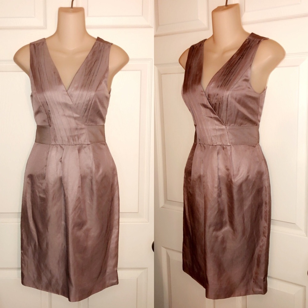 BANANA REPUBLIC Blush Dress